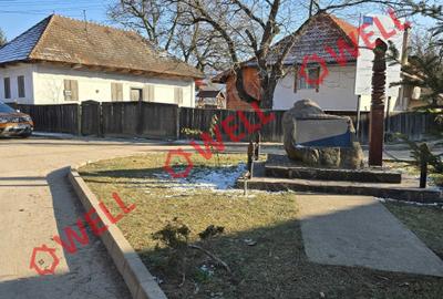 De vânzare în Chiuruș o proprietate compusă din două case! - 7