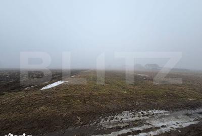 Teren de 2500 mp, în Pătrăuți - 2