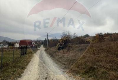 Teren intravilan de vânzare 2.307 mp – Sălicea, comuna Ciurila - 9