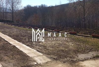 Teren Intravilan 1500 mp I Cisnadioara - 5