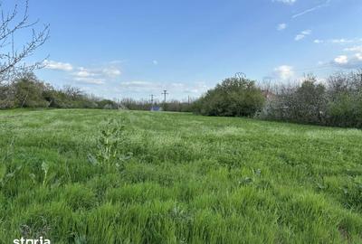 Teren de 860 mp, în Sinești - 2