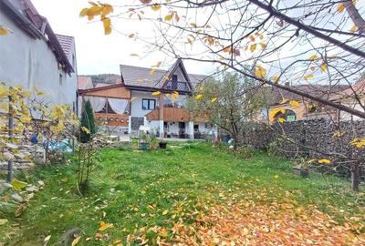 Casa superba de in Fantanele - 1