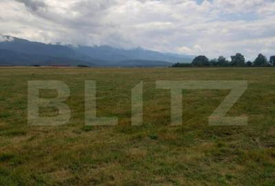 Teren de 8600 mp, în Cârțișoara - 2