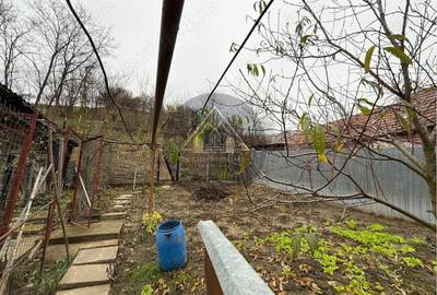 Casa de 3 camere, Medias - 9