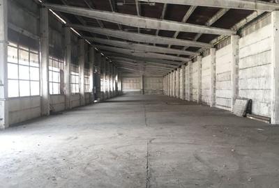 SPATIU INDUSTRIAL STUPINI - 3