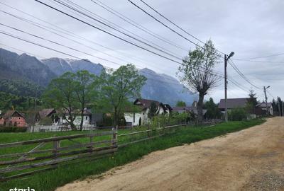 Teren de 2675 mp, în Poiana Țapului - 2