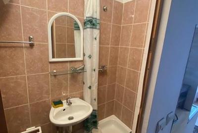 Garsoniera Renovata Buziasului - 2