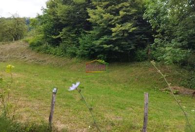 Teren intravilan de 1659 mp, în Vărbilău - 2