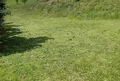 Spațiu comercial, în Poiana Galdei - 5