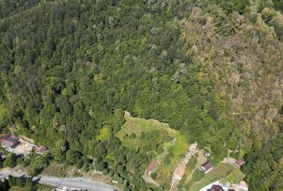 Teren intravilan de 1500 mp pe deal in Moneasa - 3