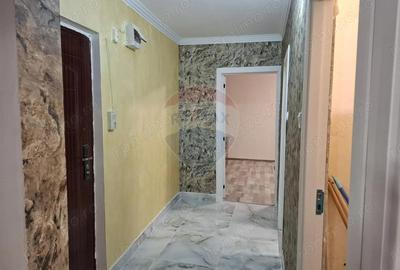 Apartament cu 2 camere, decomadat, de inchiriat in zona Aradul Nou - 2