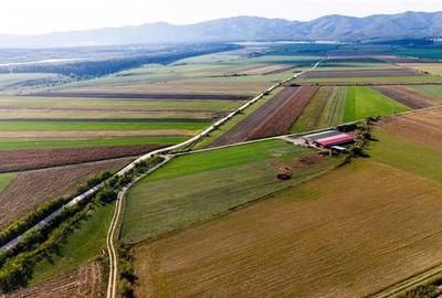 FILM! 18.000 mp,extravilan,agricol+constructii, recomandat:ferma,investitii agri - 9