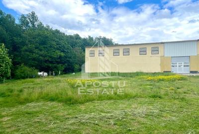 Spatii productie si depozitare, zona Sebis - Prunisor-Carand - 4