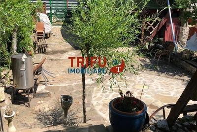 Casă cu 4 camere cu Teren 3000 Mp în Cricău - 2