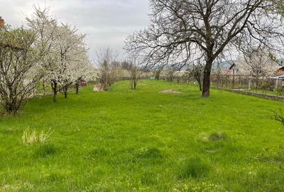 Cornu de Sus, vanzare teren intravilan 2900/26 - 1