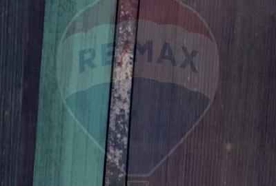 Teren agricol extravilan de 19963 mp, în Mândruloc - 3