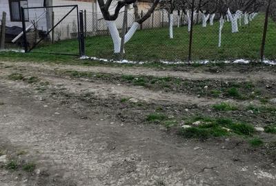 Spațiu comercial, în Orlat - 4