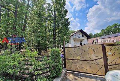 Casă de vacanță în pădure, 10 km de Pitești - Babana - 13