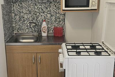 Garsonieră decomandată în Abator - 7