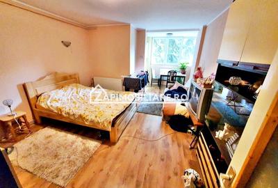 Apartament 1 camera, 28 mp, Aleea Carpati et.1 - 1