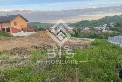 Teren de vanzare - Sigmir - 3