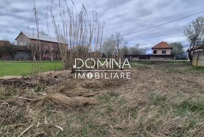 Teren de 6504 mp, în Curtișoara - 5