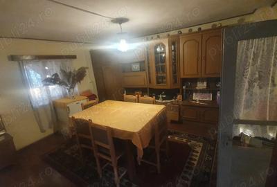 Vand case si teren in Vanju Mare 1026mp - 9