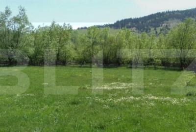 Teren intravilan de vanzare, 1921 mp, zona Vama, Suceava - 3