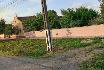 Se vinde casa+teren generos, la nici 2 minute de centrul Felnacului - 5