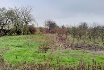 Casă individuală cu 3 camere cu Canalizare în Bărcănești - 13