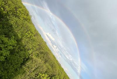 Apartament cu 2 camere în Băneasa - 2