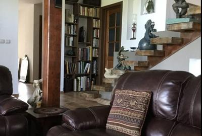 Vila de poveste 5 camere zona Bolintin Vale, judetul Giurgiu - 16