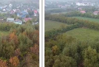 Teren extravilan Bacesti, ID: R2822108 - 10