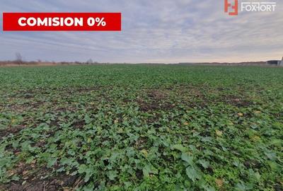 Comision 0% Teren extravilan agricol 21,32 ha sau intravilan cu PUZ aprobat - 9