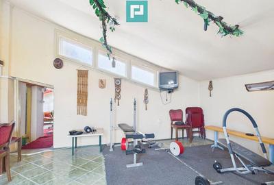 Proprietate multifunctionala central Arad - 2