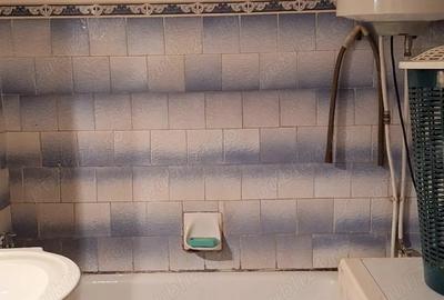 Apartament 2 camere Brezoi - 1