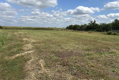 Spațiu comercial, în Șimand - 2