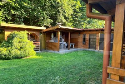 Cabana moderna in Campul Ceta?ii confort ?i natur? - 3