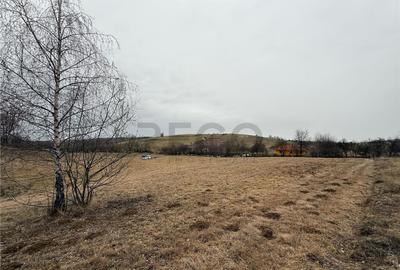 RECO , teren intravilan in Tomnatic, Vadu Crisului - 7