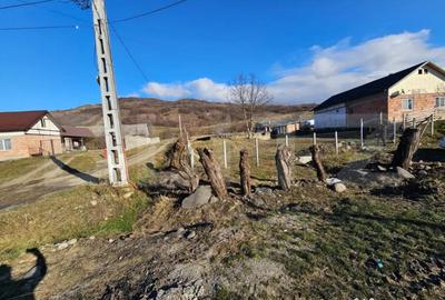 Teren în Jelna - 6