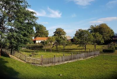 Teren agricol intravilan de 2400 mp, în Ibănești - 3