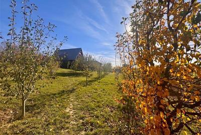 Casă individuală cu 3 camere cu Teren 4000 Mp în Bârnova - 5