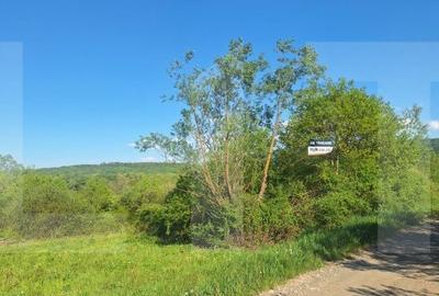 Teren de 1600 mp, în Central - 15