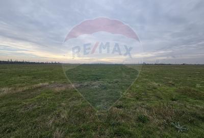 DE VANZARE Teren 25,000mp Ploiesti /  Centura de Vest - 9