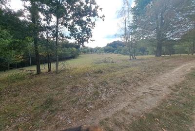 Teren de 15826 mp, în Central - 2