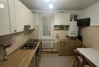 Apartament cu 2 camere, zona Podu Ros - 4