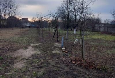 Casă individuală cu 3 camere cu Teren 1700 Mp în Zimandu Nou - 8