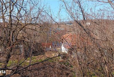 Spațiu comercial, în Cercu - 9