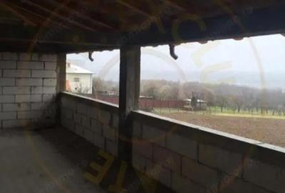 CASA LUNGANI-VEDEA! - 9