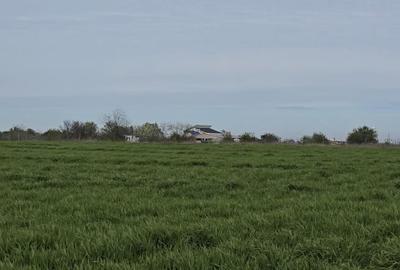 Teren Construcții intravilan de 400 mp, în Agigea